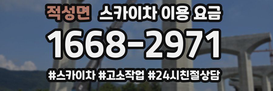 적성면 스카이차 이용 요금