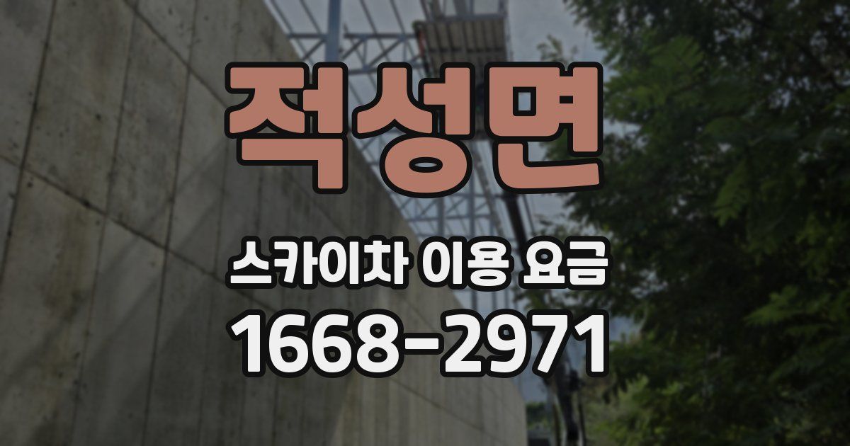 적성면 스카이차 이용 요금