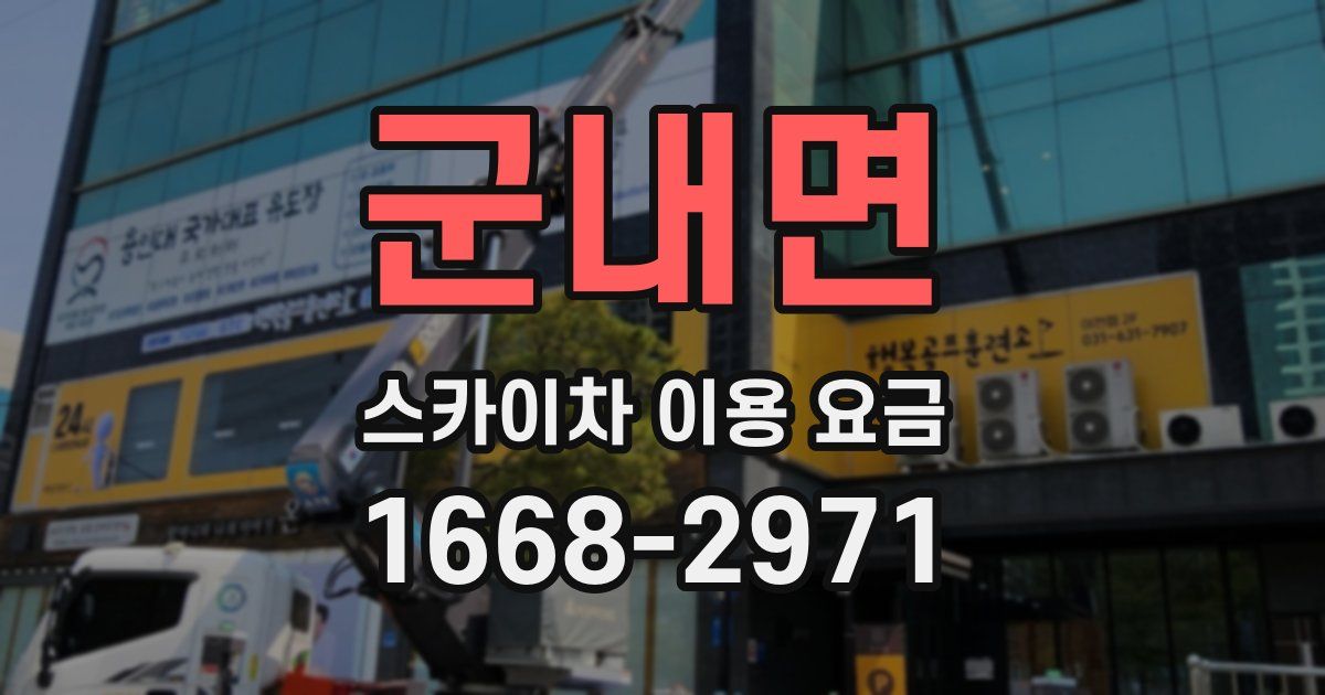 군내면 스카이차 이용 요금