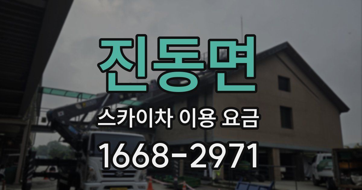 진동면 스카이차 이용 요금