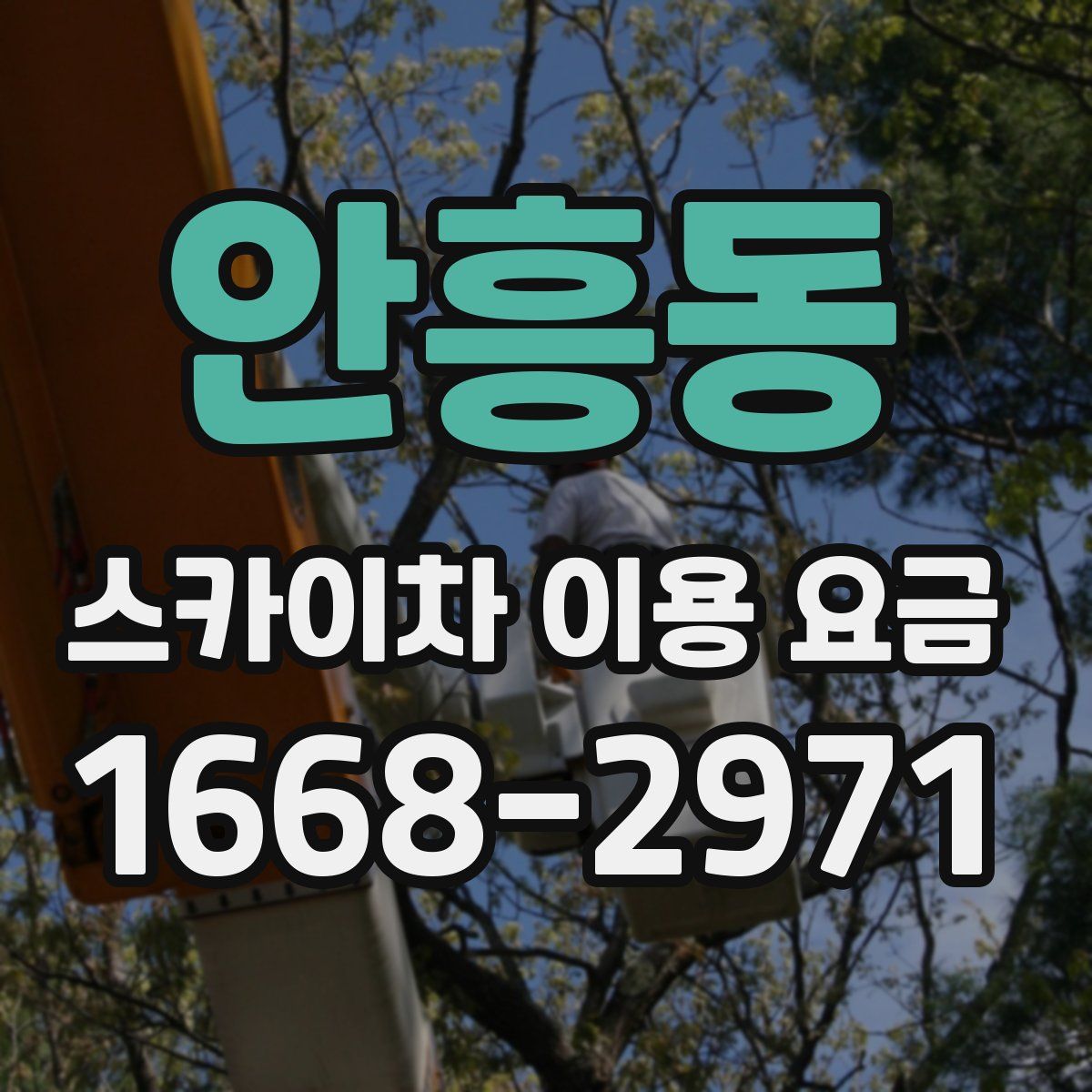 안흥동 스카이차 이용 요금