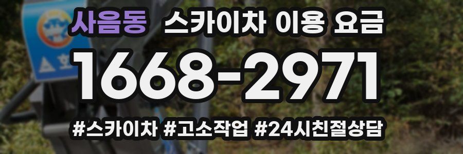 사음동 스카이차 이용 요금