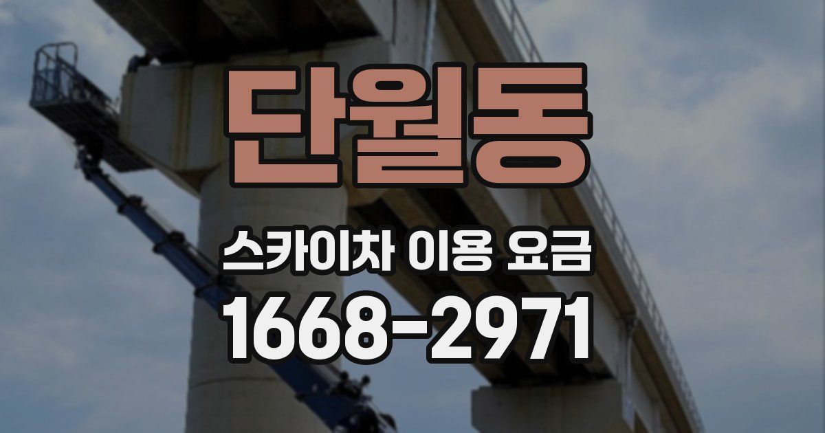 단월동 스카이차 이용 요금