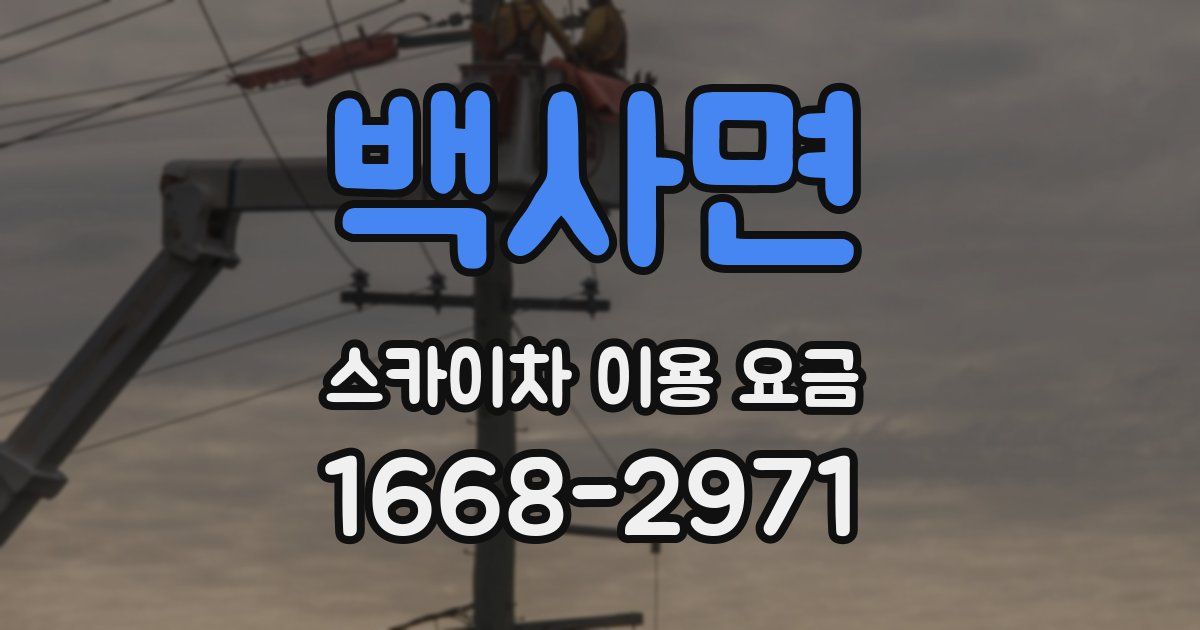 백사면 스카이차 이용 요금