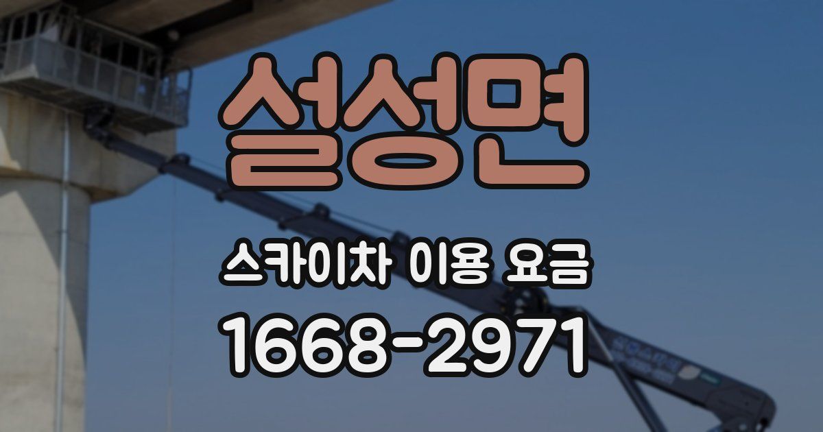 설성면 스카이차 이용 요금