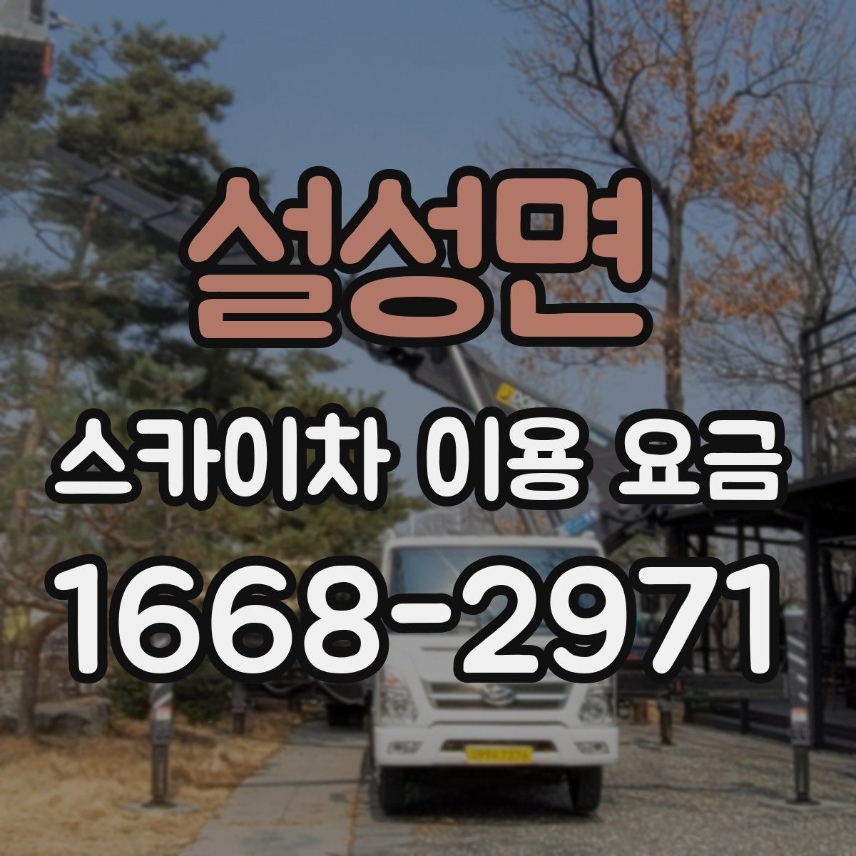 설성면 스카이차 이용 요금