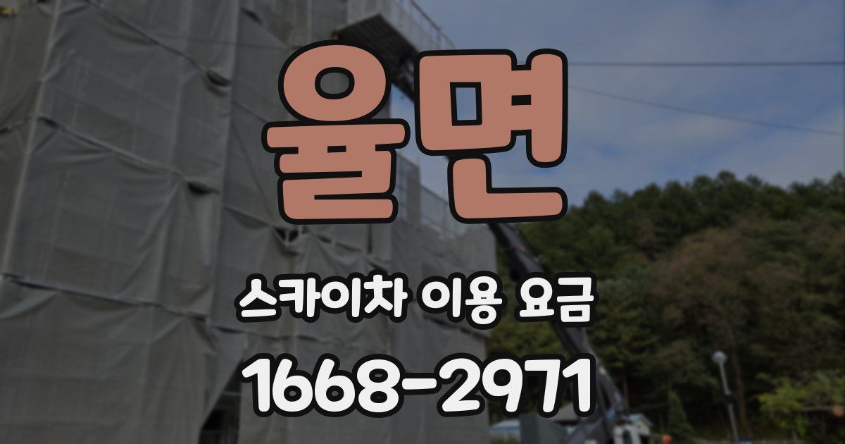 율면 스카이차 이용 요금