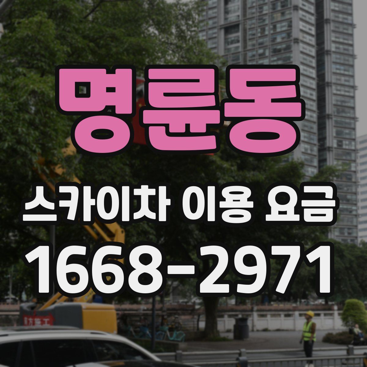 명륜동 스카이차 이용 요금