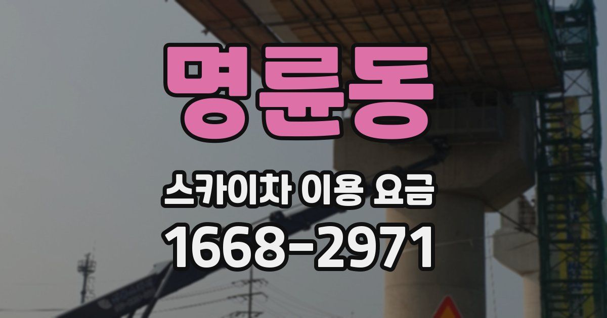 명륜동 스카이차 이용 요금