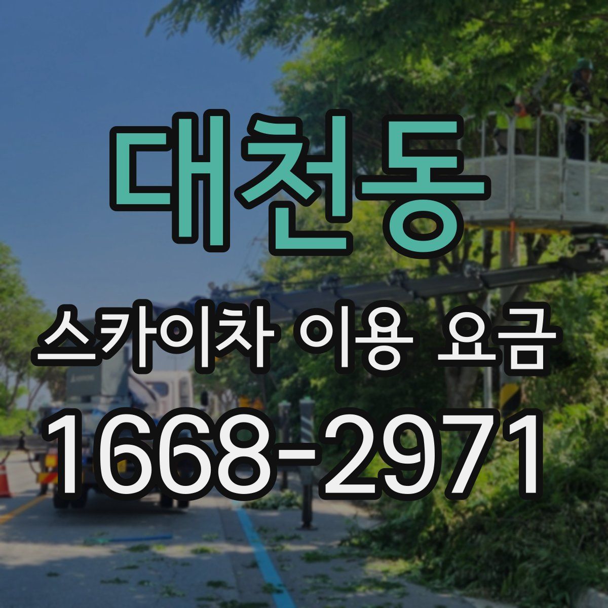 대천동 스카이차 이용 요금