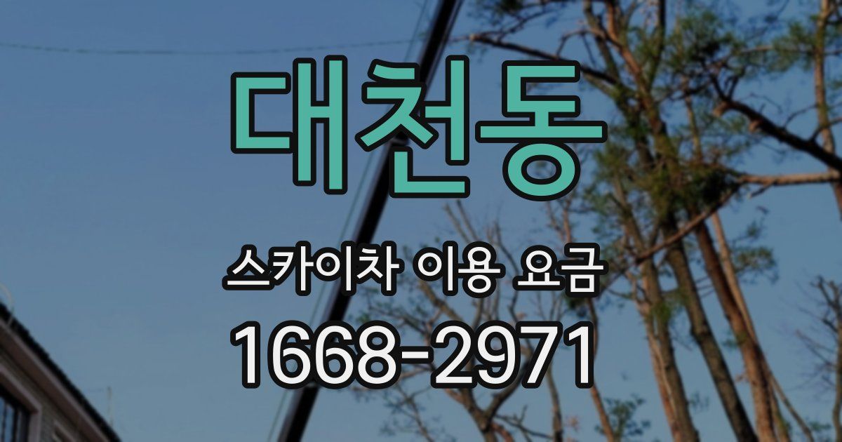 대천동 스카이차 이용 요금