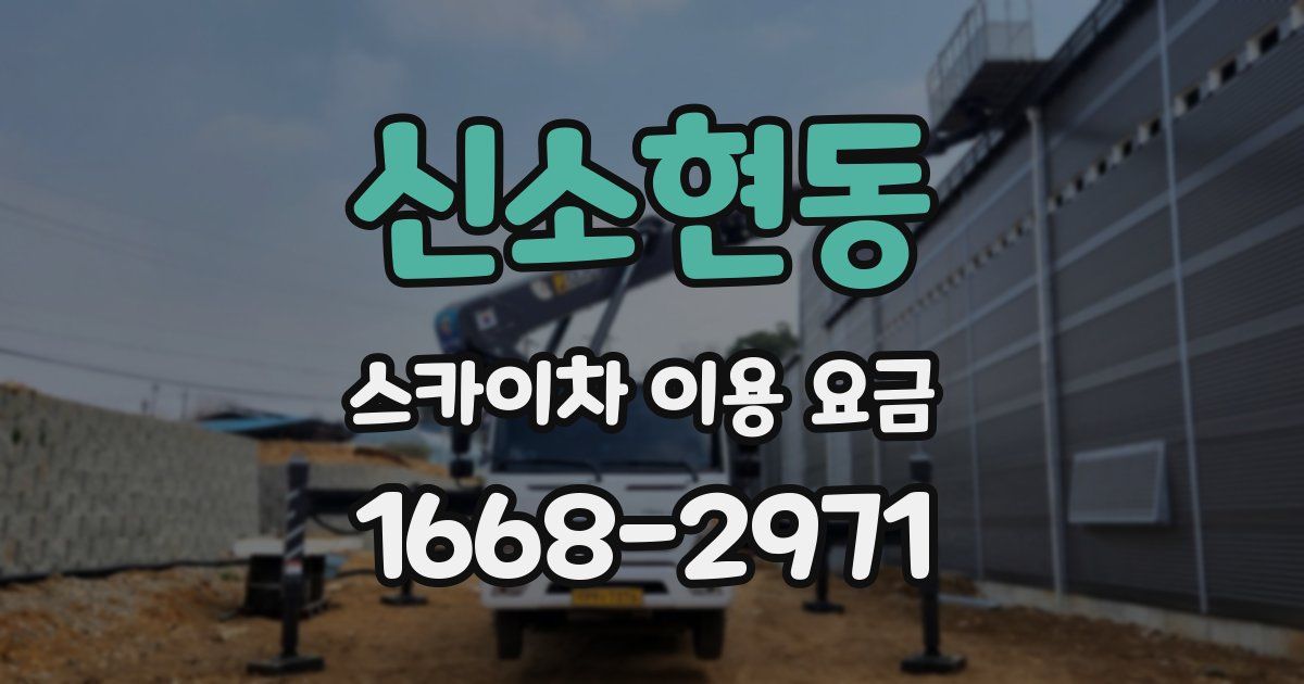 신소현동 스카이차 이용 요금