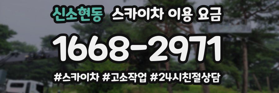 신소현동 스카이차 이용 요금