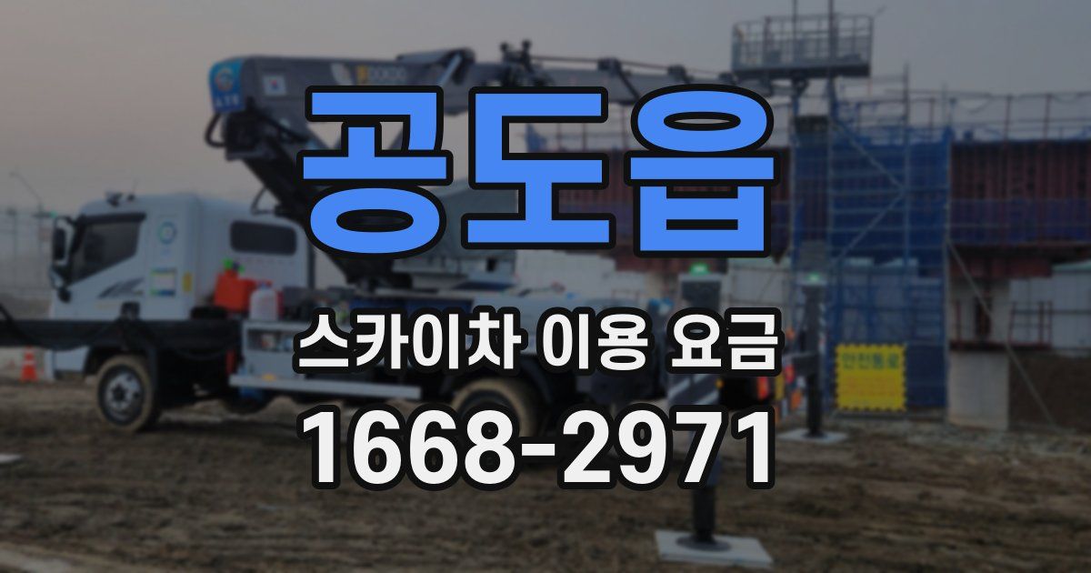 공도읍 스카이차 이용 요금