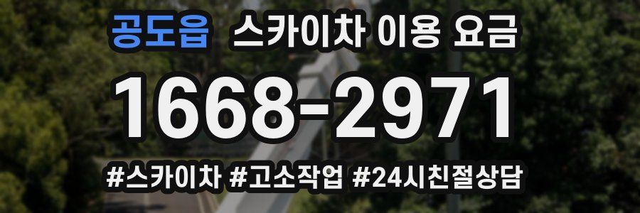 공도읍 스카이차 이용 요금