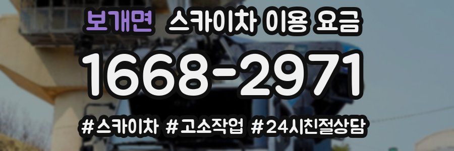 보개면 스카이차 이용 요금