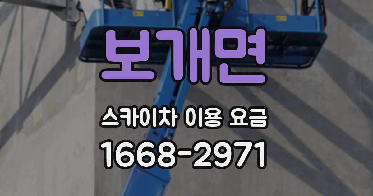 보개면 스카이차 이용 요금