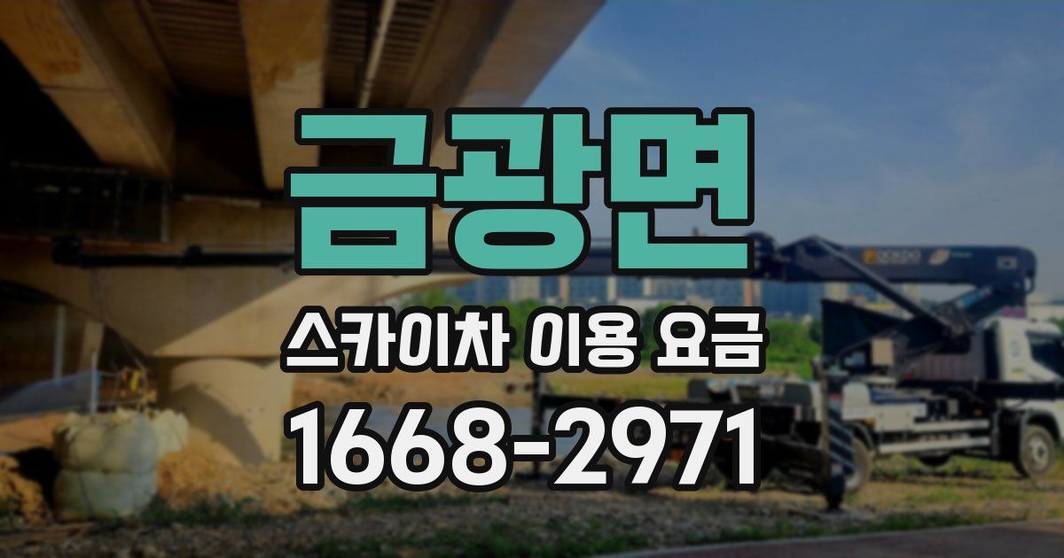 금광면 스카이차 이용 요금