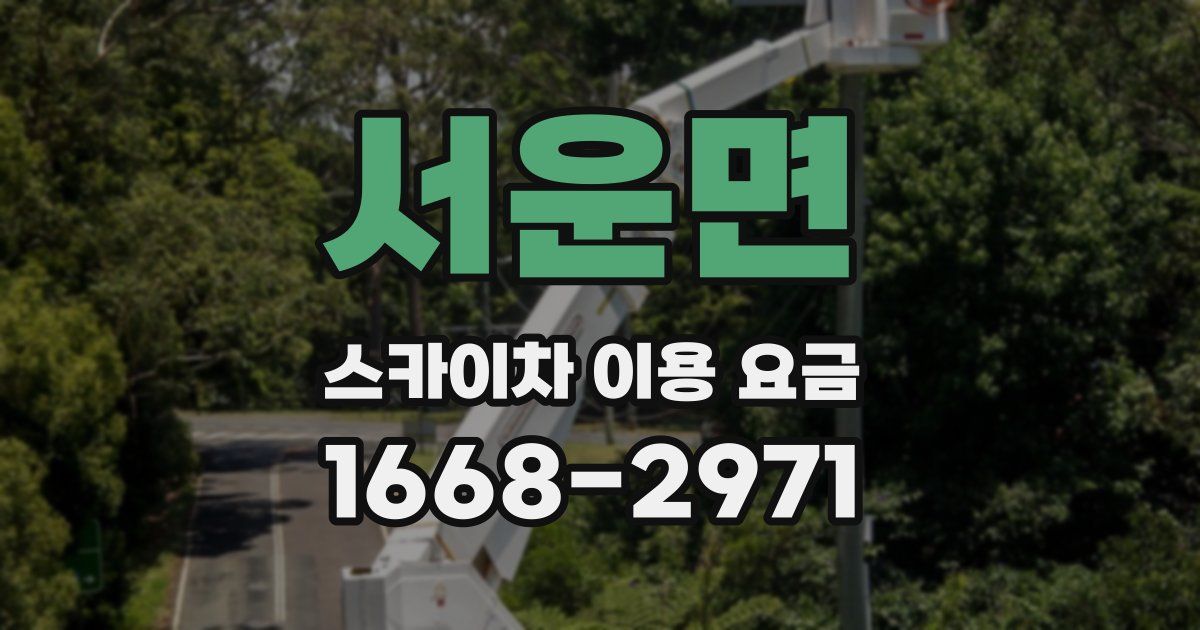 서운면 스카이차 이용 요금