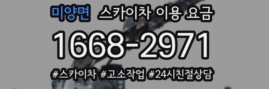 미양면 스카이차 이용 요금