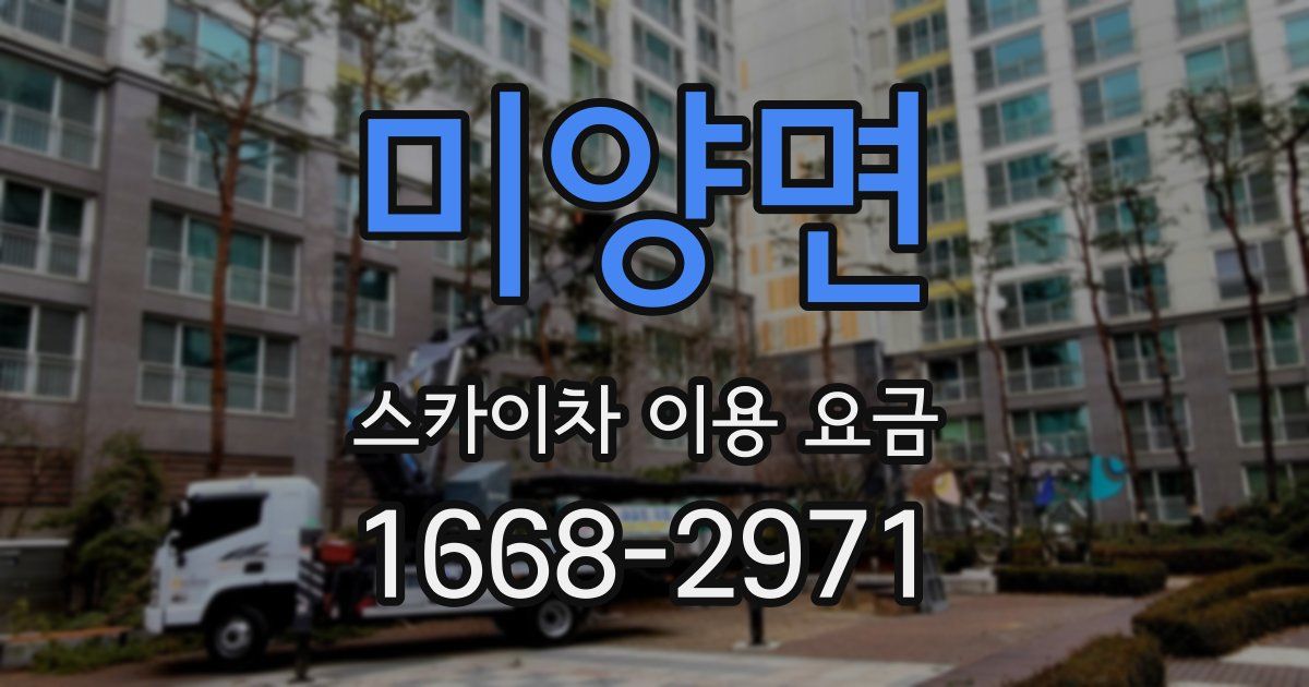 미양면 스카이차 이용 요금