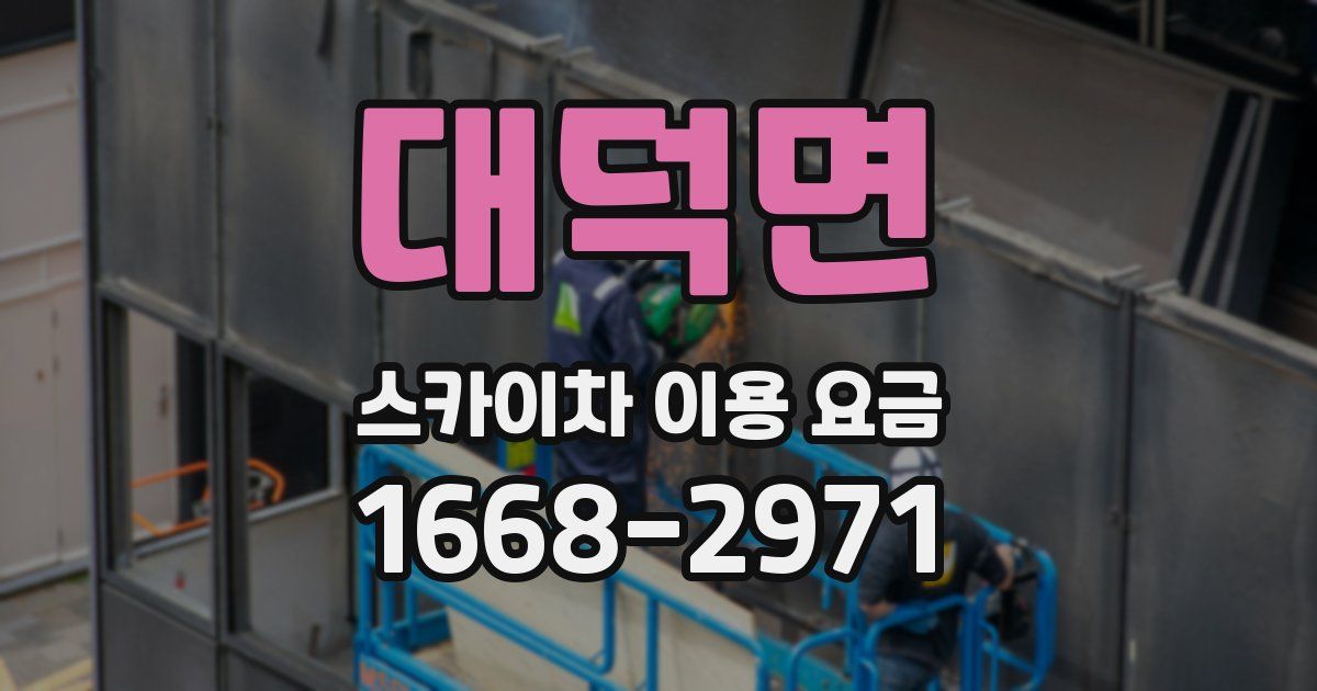 대덕면 스카이차 이용 요금
