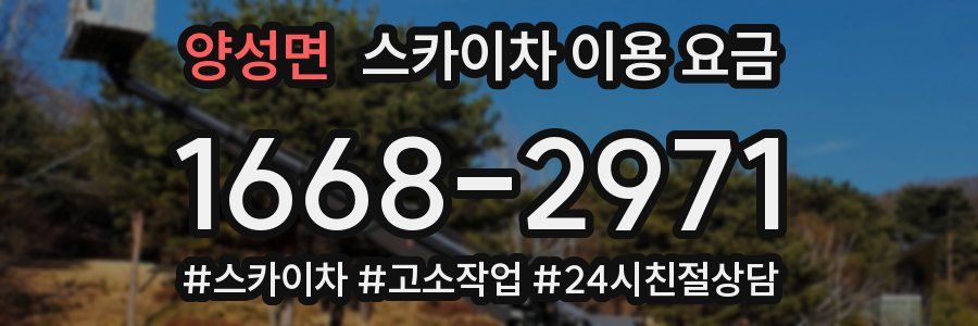양성면 스카이차 이용 요금