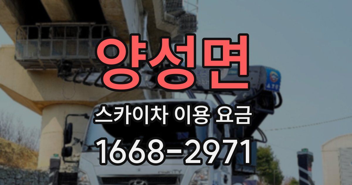 양성면 스카이차 이용 요금