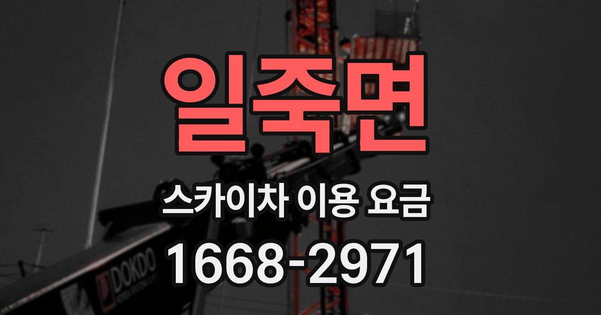 일죽면 스카이차 이용 요금