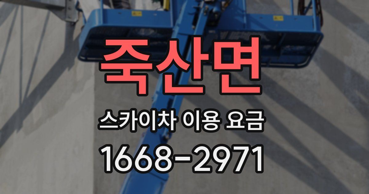 죽산면 스카이차 이용 요금
