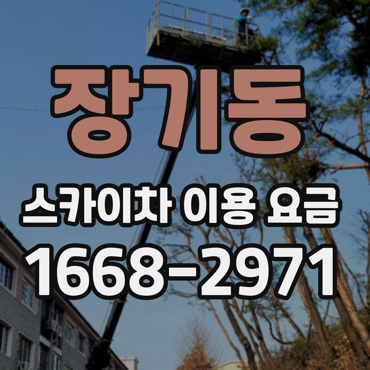 장기동 스카이차 이용 요금