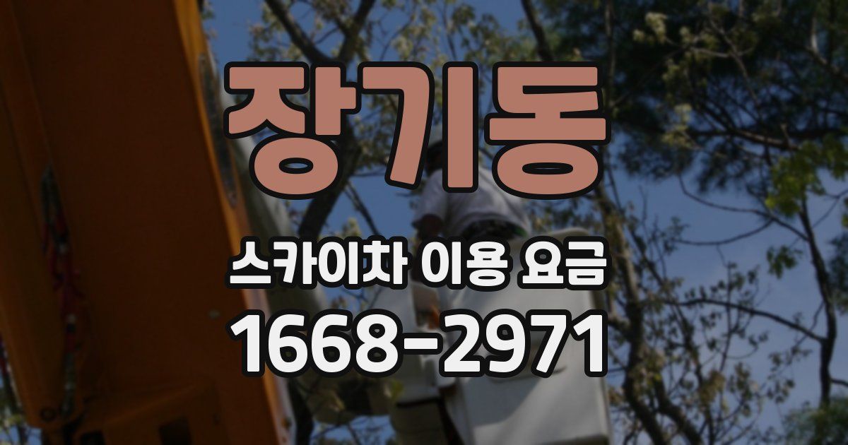 장기동 스카이차 이용 요금