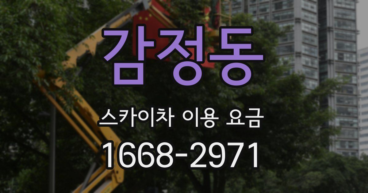 감정동 스카이차 이용 요금