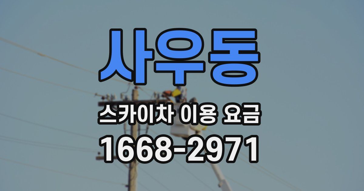 사우동 스카이차 이용 요금