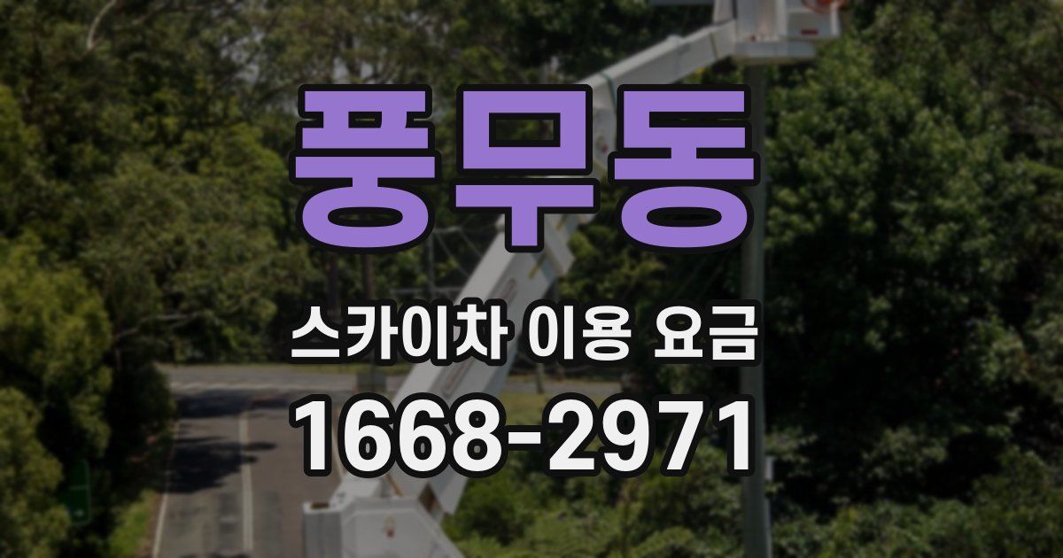 풍무동 스카이차 이용 요금