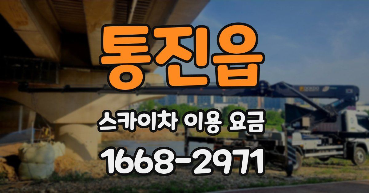 통진읍 스카이차 이용 요금