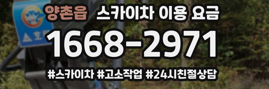 양촌읍 스카이차 이용 요금