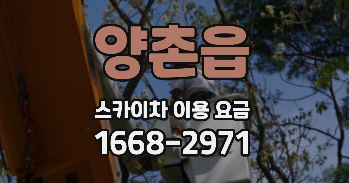 양촌읍 스카이차 이용 요금
