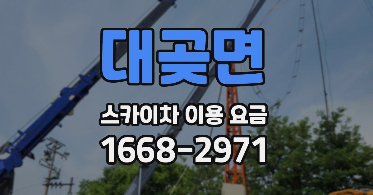 대곶면 스카이차 이용 요금