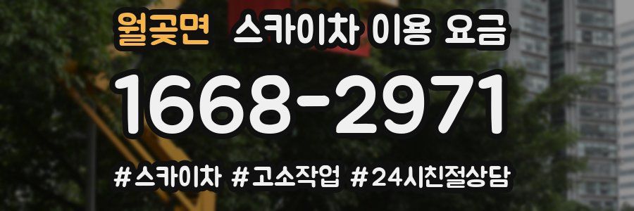 월곶면 스카이차 이용 요금
