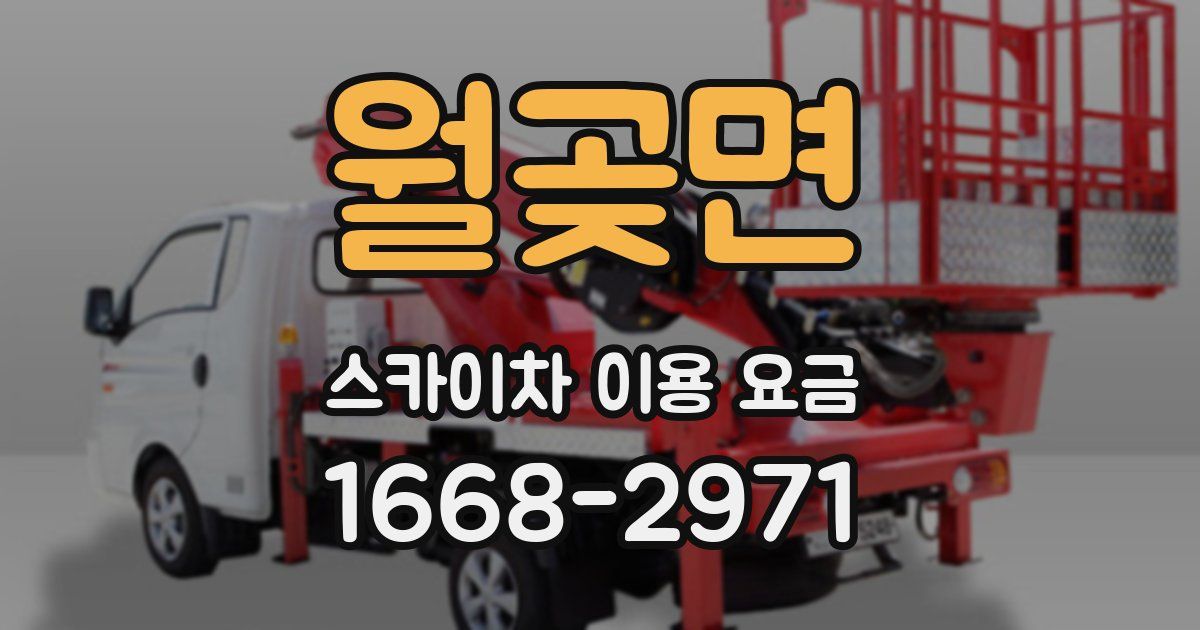 월곶면 스카이차 이용 요금