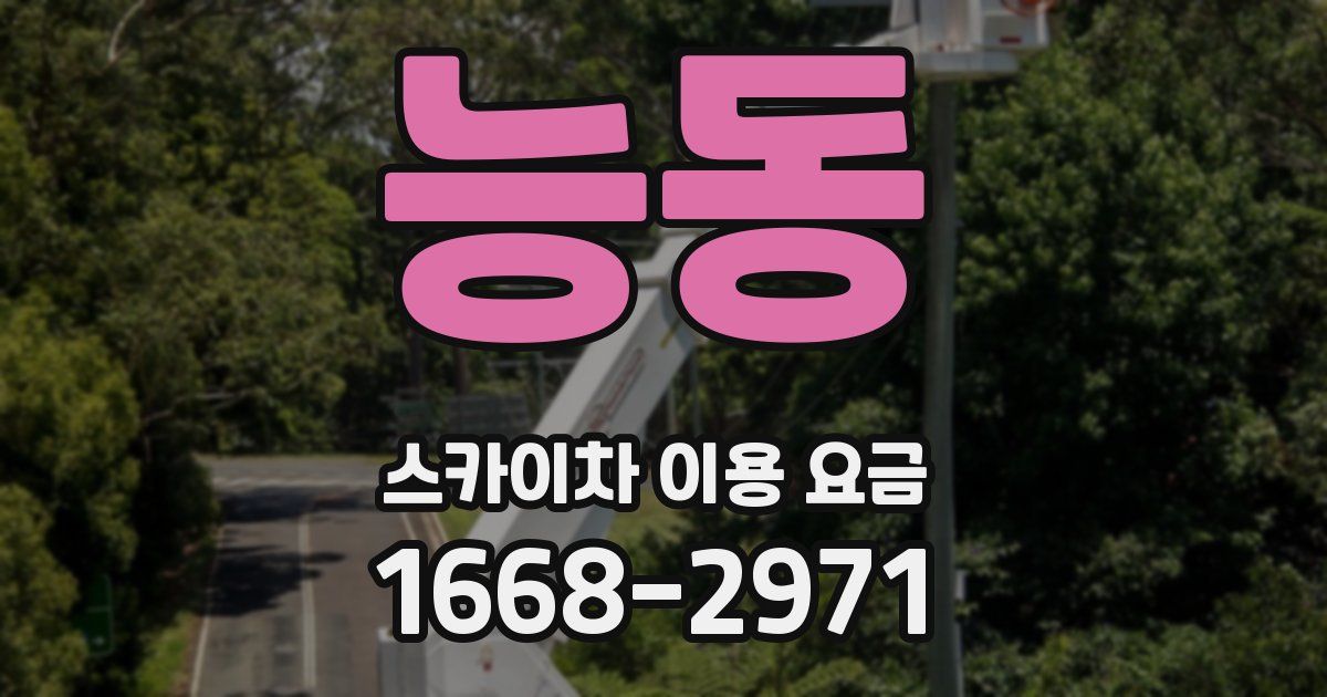능동 스카이차 이용 요금