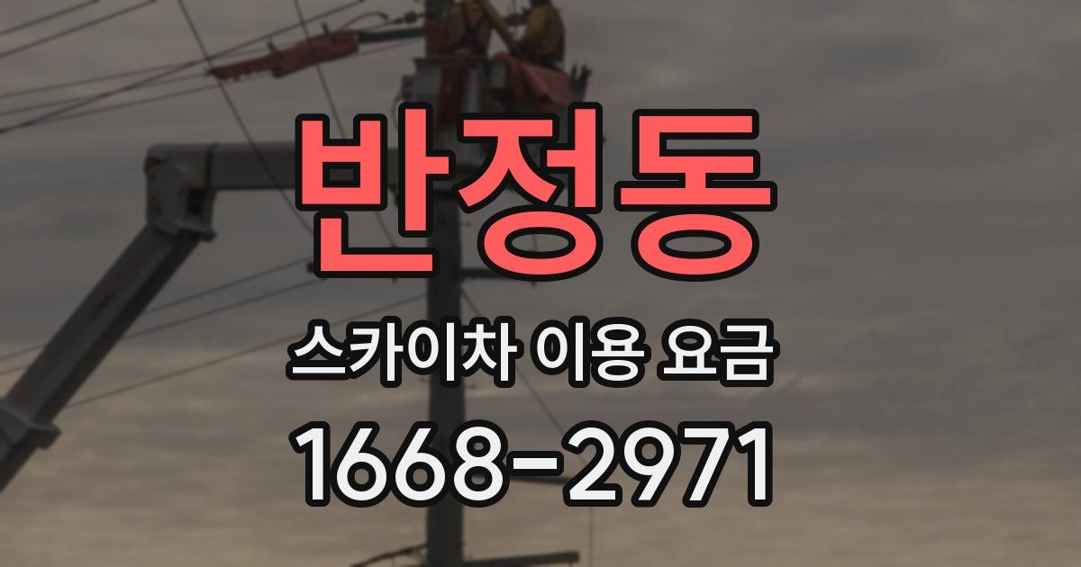 반정동 스카이차 이용 요금
