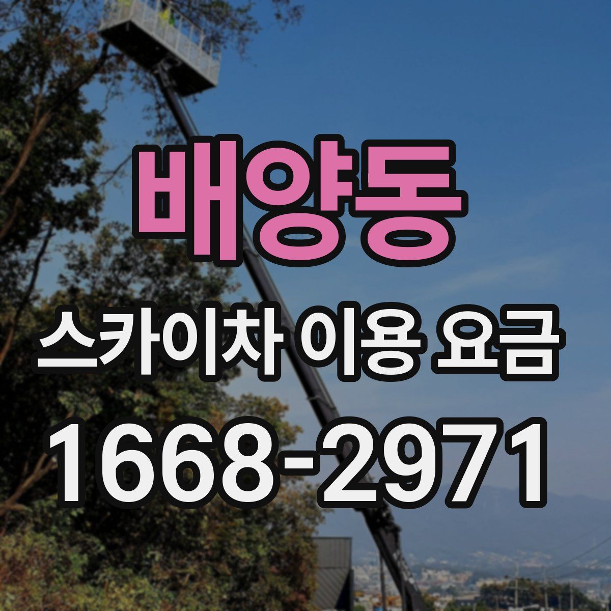 배양동 스카이차 이용 요금