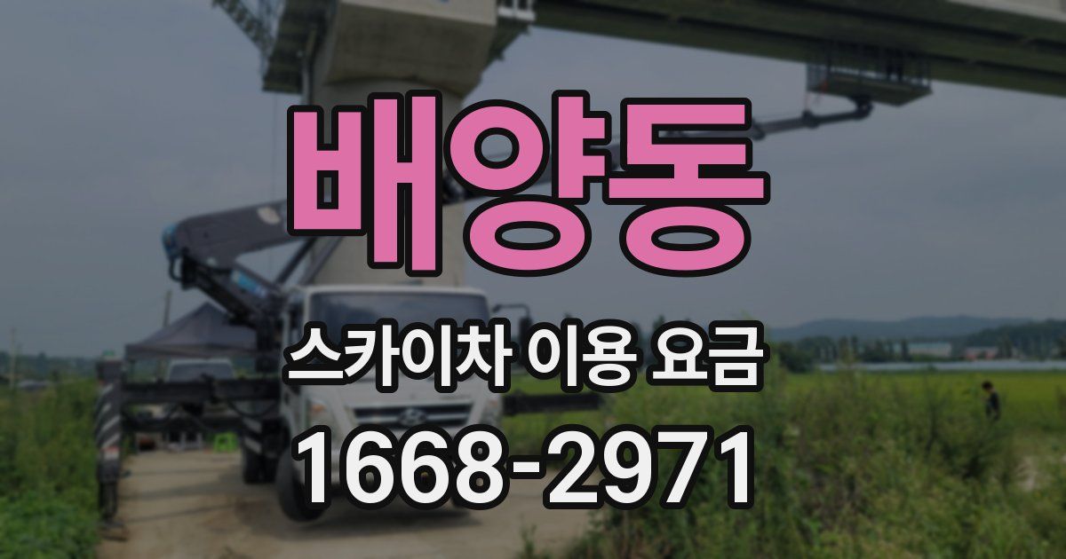 배양동 스카이차 이용 요금