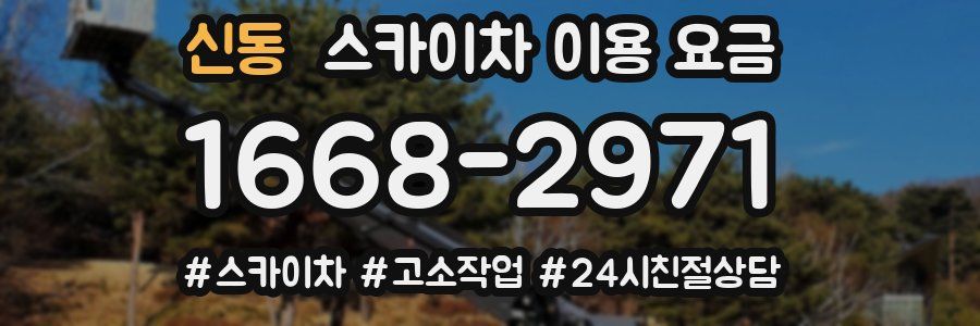 신동 스카이차 이용 요금