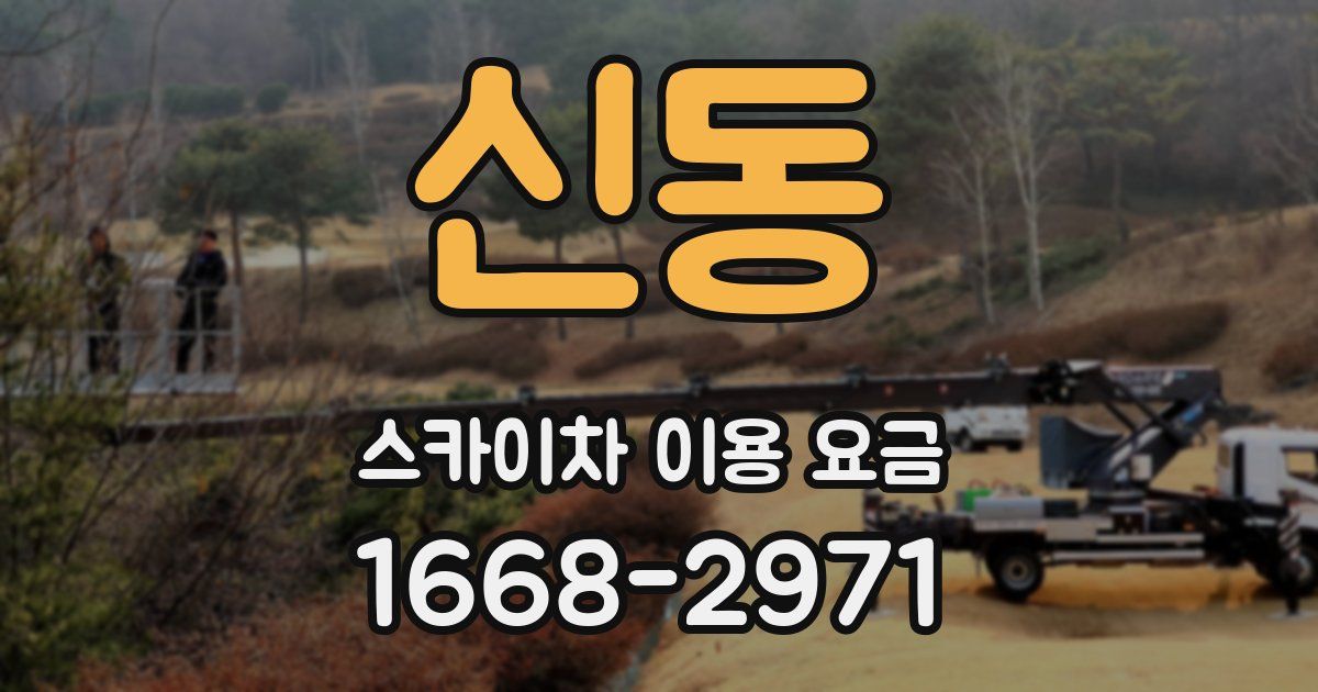 신동 스카이차 이용 요금