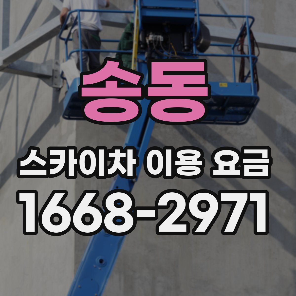 송동 스카이차 이용 요금
