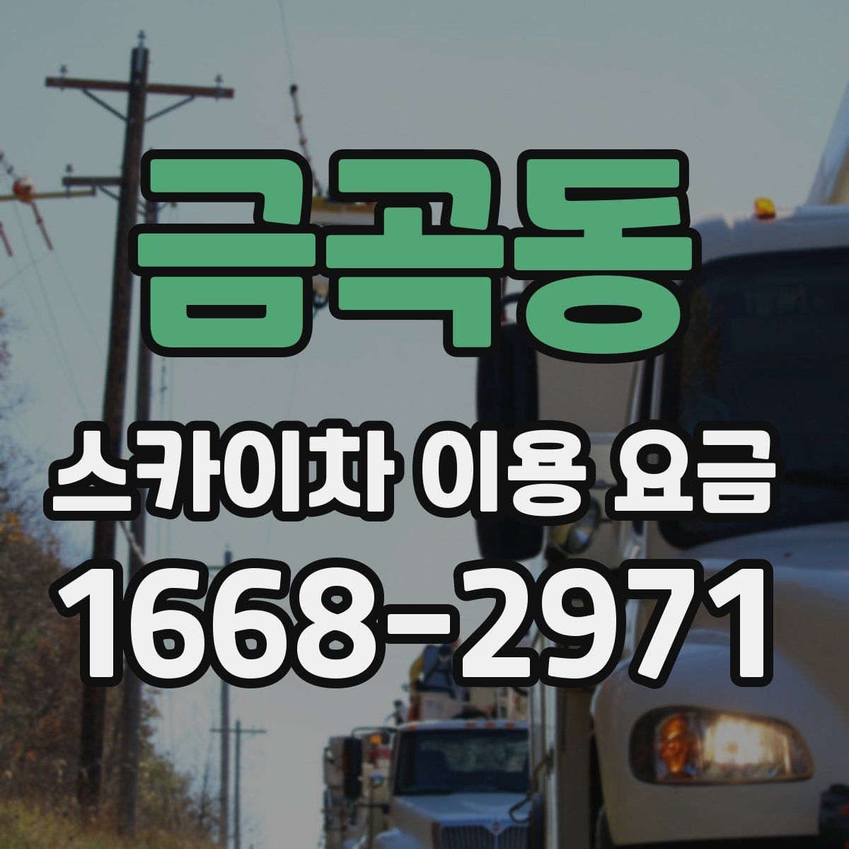 금곡동 스카이차 이용 요금