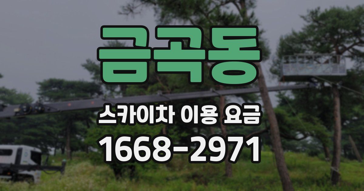 금곡동 스카이차 이용 요금